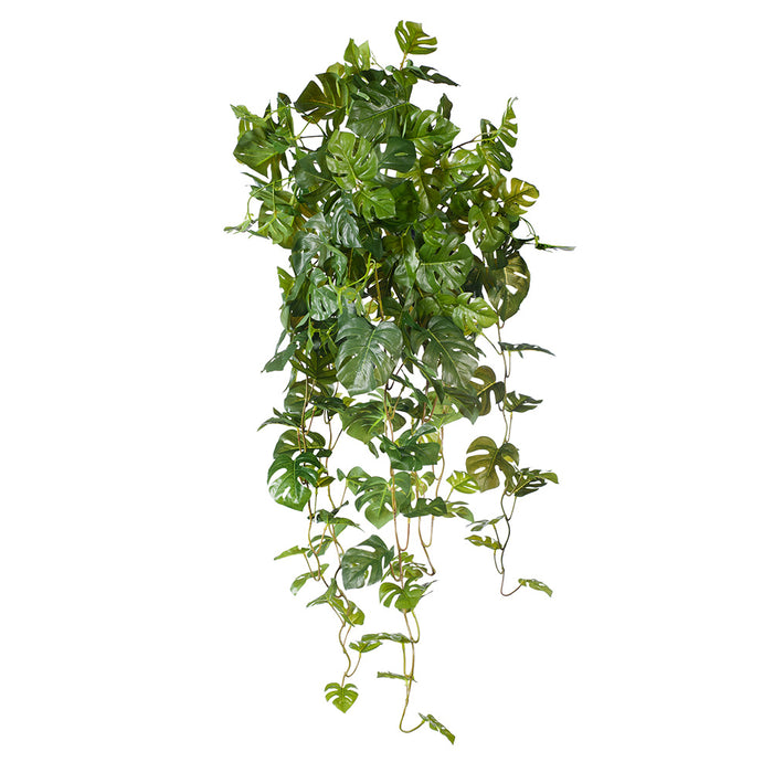 Monstera Hanging Bush Green 91cm Pack of 4