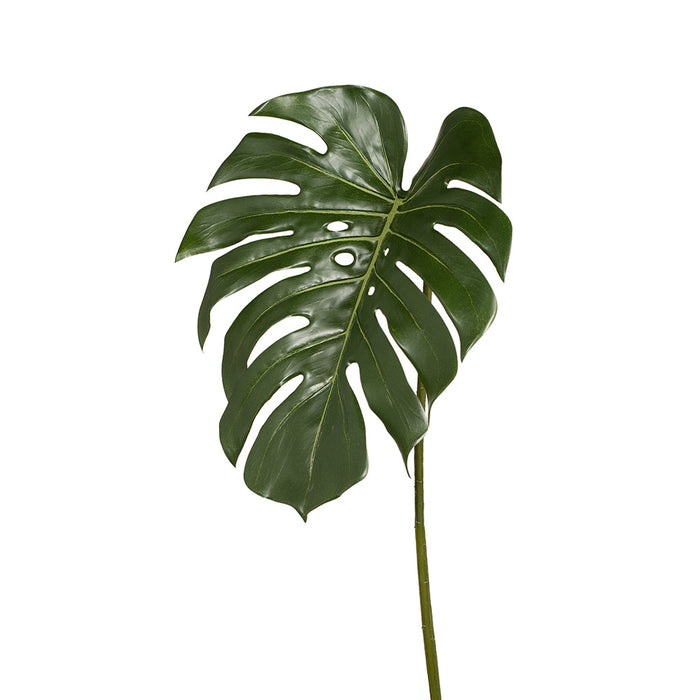 Monstera Leaf Green 85cm Pack of 12
