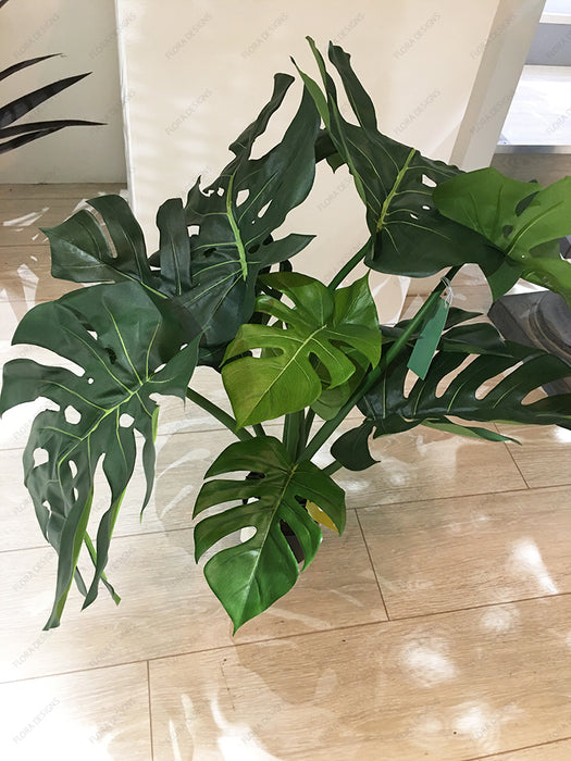Monstera Split Philo Potted 63cm