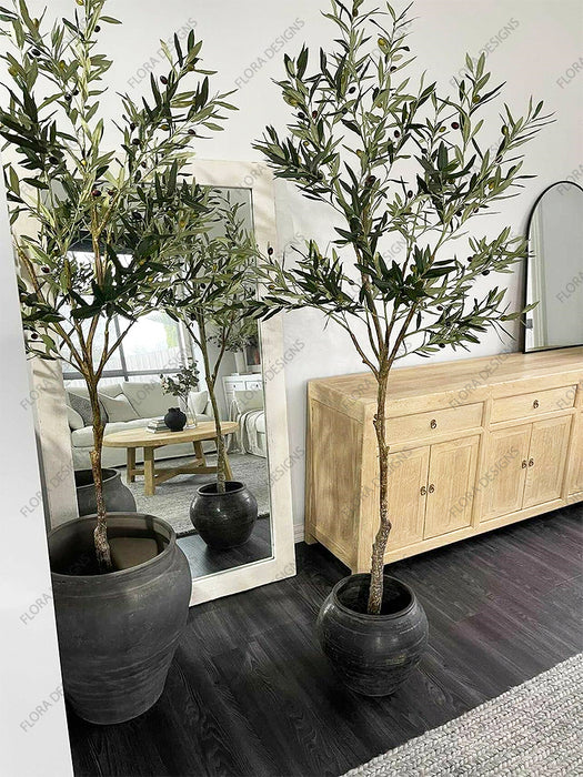 Olive Tree Green 213cm Pack of 2
