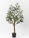 Olive Tree Pack of 2 91cm