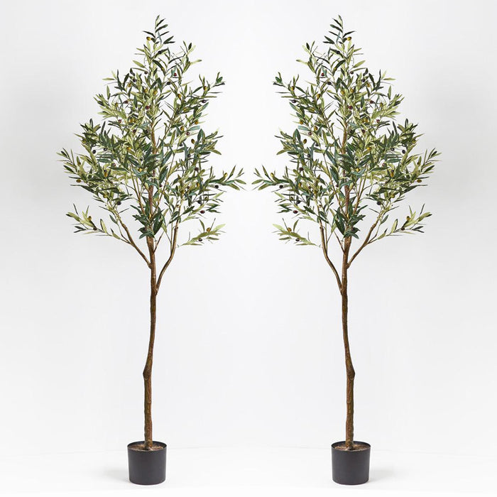 Olive Tree Green 213cm Pack of 2