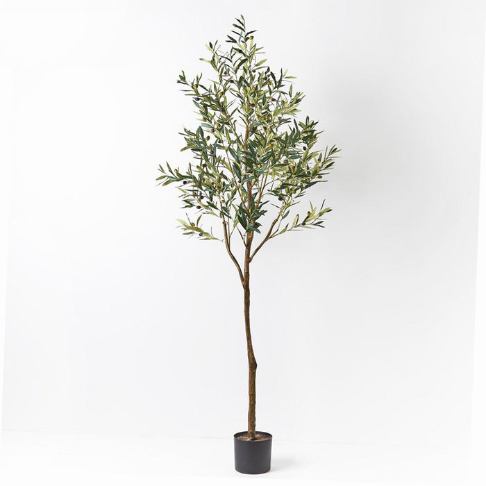 Olive Tree Green 213cm Pack of 2