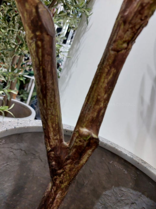 Olive Tree Green 213cm Pack of 2