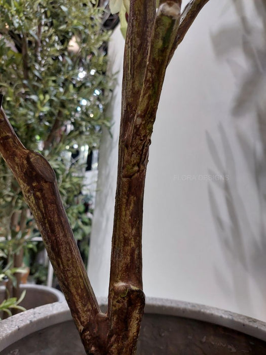 Olive Tree Green 213cm Pack of 2