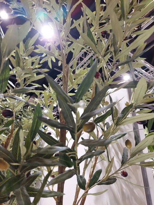 Olive Tree Green 213cm Pack of 2