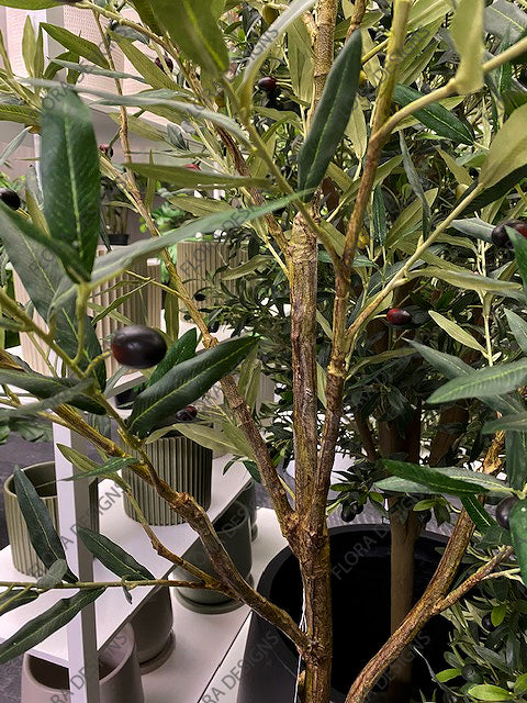 Olive Tree Green 213cm Pack of 2