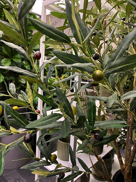 Olive Tree Green 213cm Pack of 2