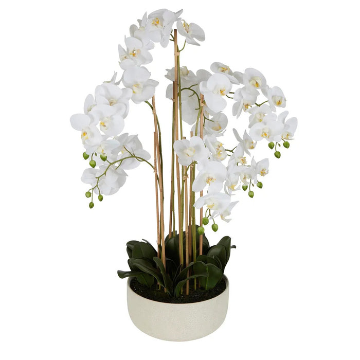 Orchid White Potted Real Touch 100cm