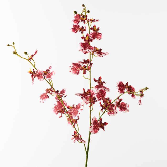 Orchid Dancing Spray Crimson Red 98cm Pack of 12