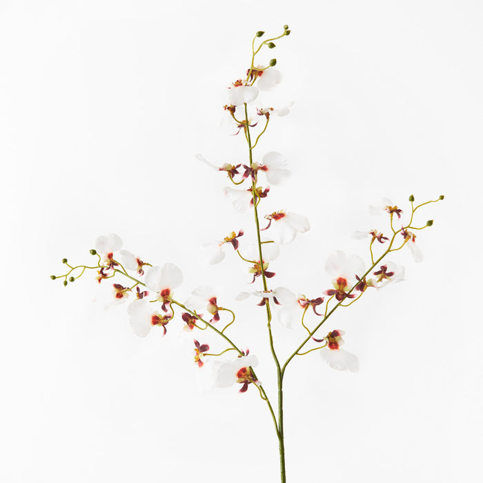 Orchid Dancing Spray White 98cm Pack of 12