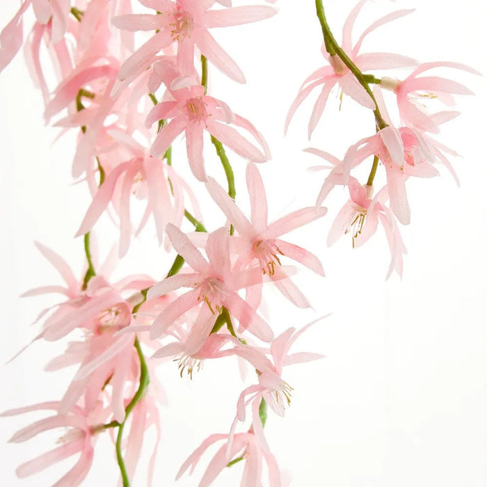 Orchid Spider Hanging 110cm Pink Pack of 12
