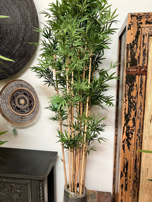 Oriental Bamboo Tree 190cm