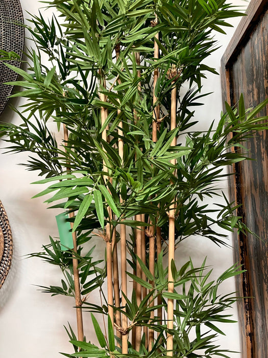 Oriental Bamboo Tree 190cm
