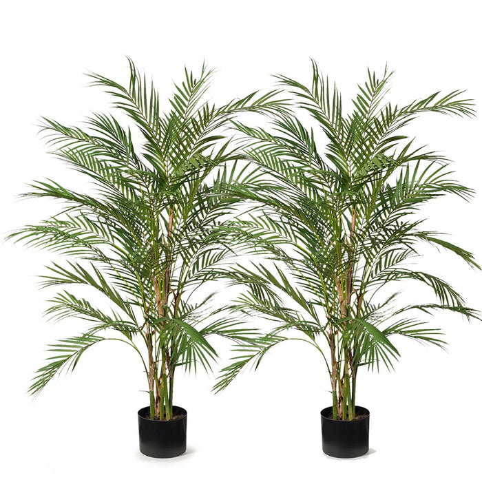 Palm Phoenix Green 107cm Pack of 2