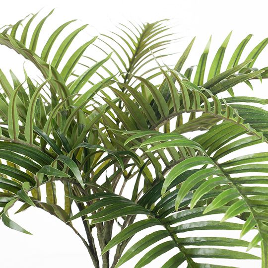 Palm Areca Bush Green 70cm Pack of 12