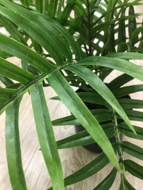Palm Areca Plant Green 63cm Pack of 2