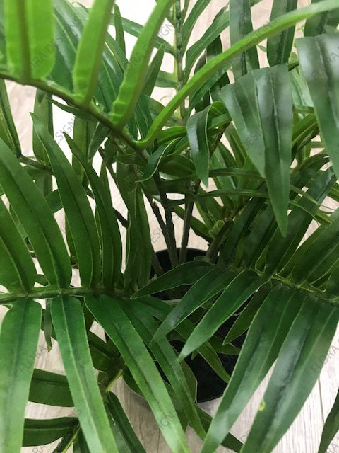 Palm Areca Plant Green 63cm Pack of 2