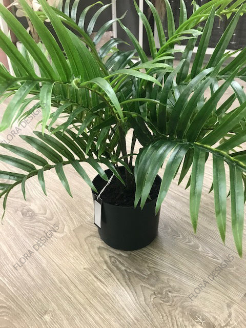 Palm Areca Plant Green 63cm Pack of 2