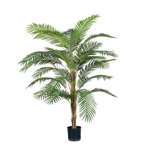 Palm Kentia Green 182cm Pack of 2