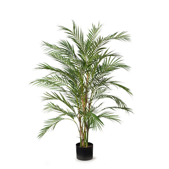Palm Phoenix Green 107cm Pack of 2