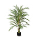 Palm Phoenix Green 107cm Pack of 2