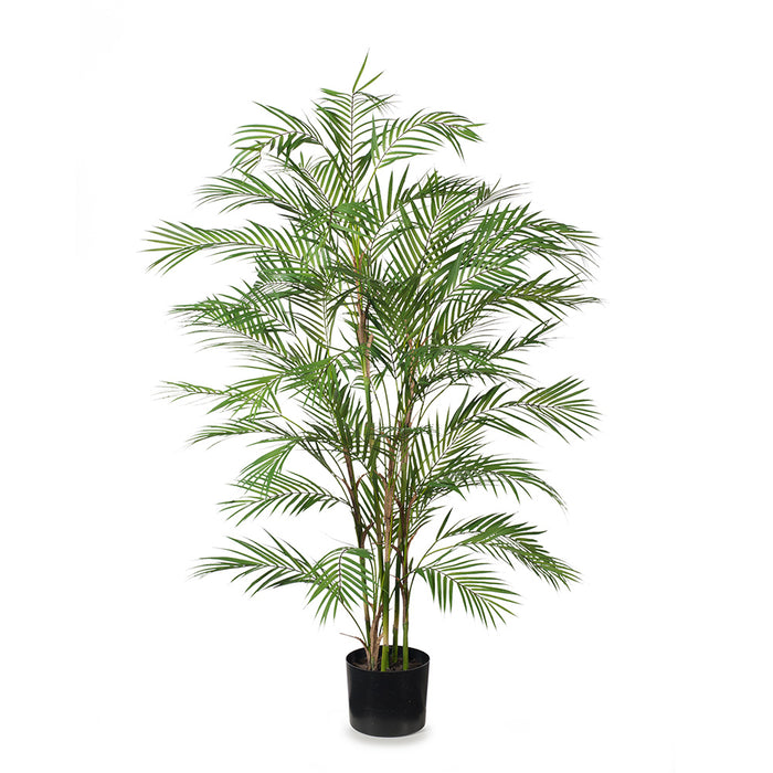 Palm Phoenix Green 143cm Pack of 2