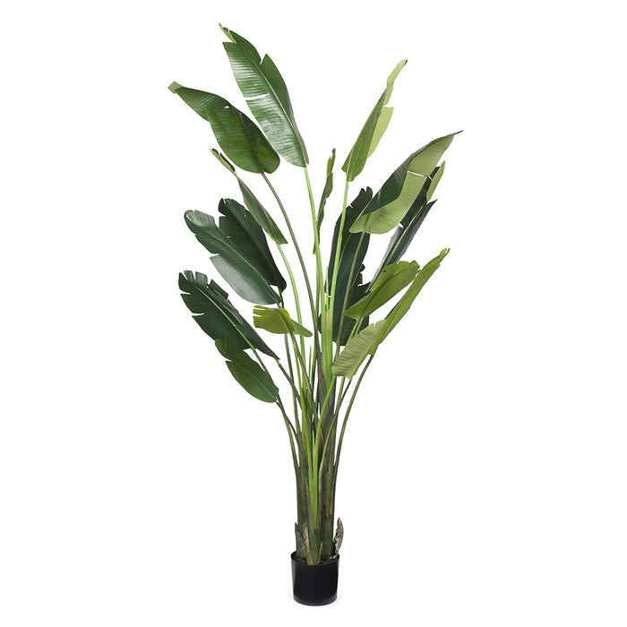 Palm Traveller Green 240cm Set of 2