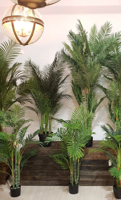 Palm Tree Real Touch 125cm