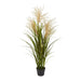 Pampas Grasses in Black Pot Pack of 2