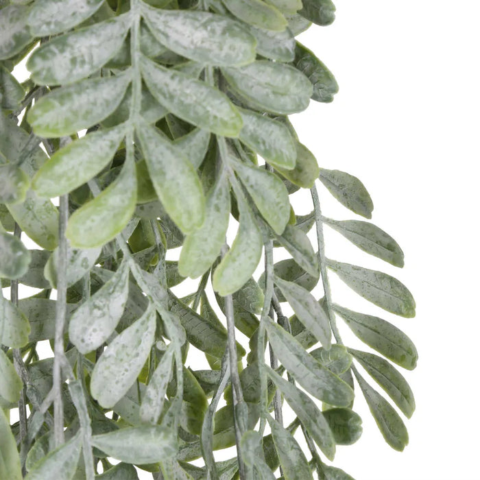 Pepper Fern Hanging Vine 115cm Pack of 6