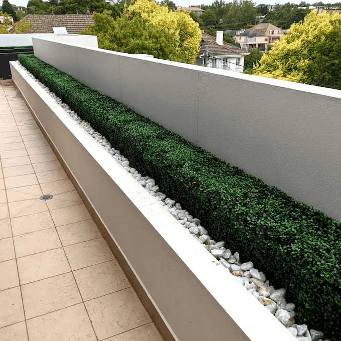 Portable Boxwood Hedge UV Resistant 25cm x 100cm