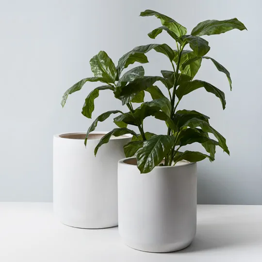 Pot Ash White Pack of Two -50cm