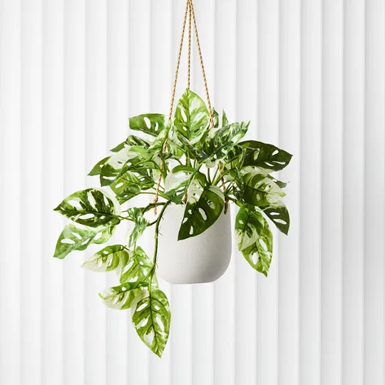 Pot Flo Hanging Planter White 14cm Set of 2