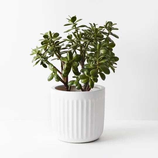 Pot Pleat Round White 37cm Pack of Three