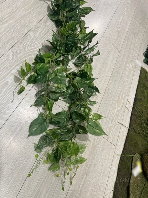 Pothos Hanging Bush 8 Branches 130cm Set of 12