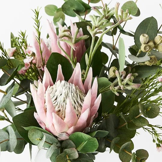 Protea King Mix in Vase - Light Pink - 57cm
