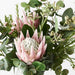 Protea King Mix in Vase - Light Pink - 57cm