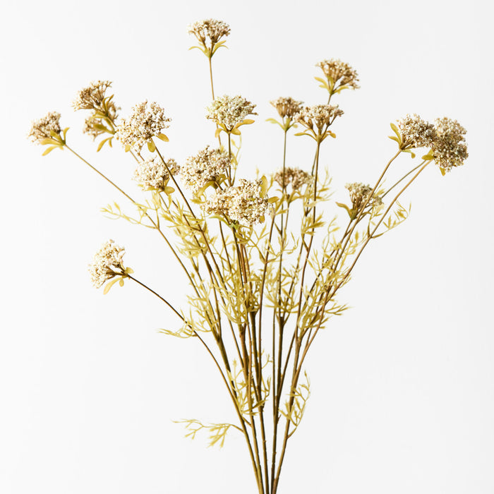 Queen Anne Lace Bush Cream Green 56cm Pack of 12
