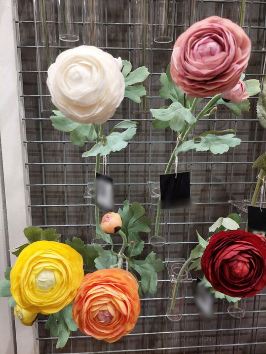 Ranunculus Spray 50cm Burgundy Red Pack of 12