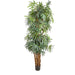 Raphis Palm Thin Leaf 240cm