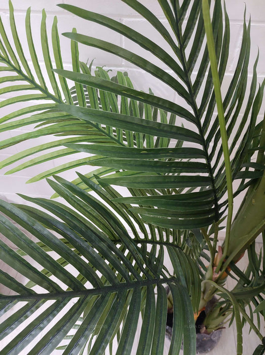 Real Touch Green Palm Tree In Black Pot 210cm