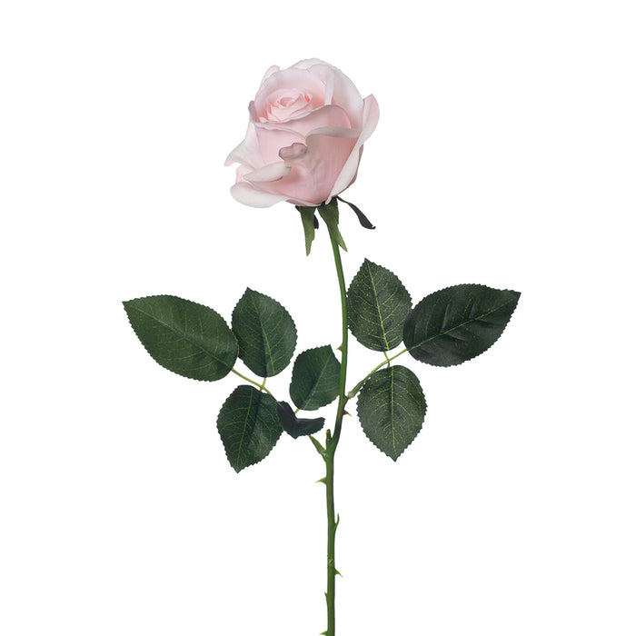 Rose Yvie 65cm Light Pink Pack of 12