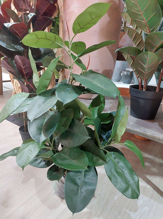 Rubber Plant Tree 96cm