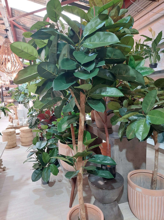 Rubble Tree 155cm