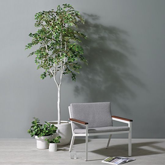 Silver Birch Tree Green 213cm Pack of 2
