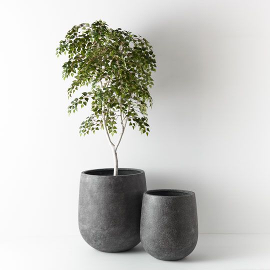 Silver Birch Tree Green 213cm Pack of 2