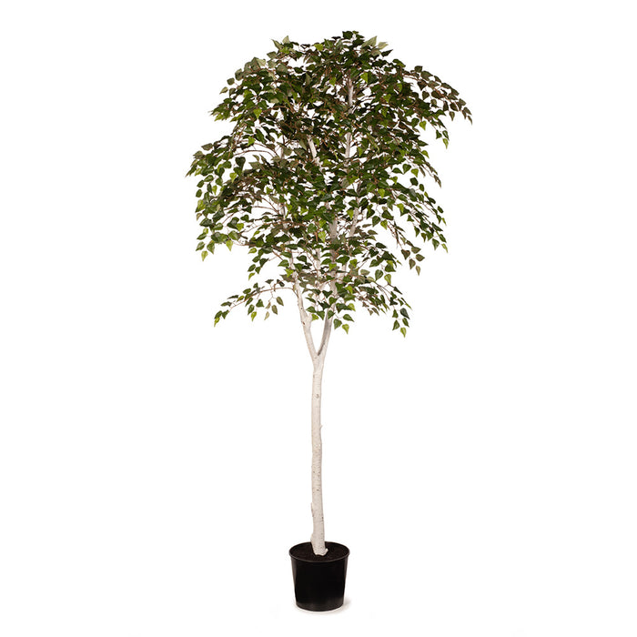 Silver Birch Tree Green 213cm Pack of 2