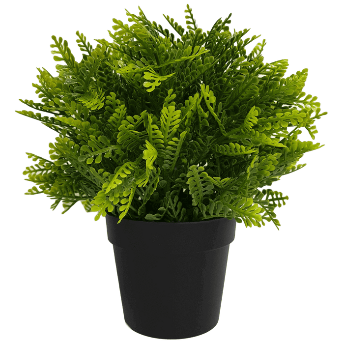 Small Potted Artificial Mimosa Fern UV Resistant 20cm