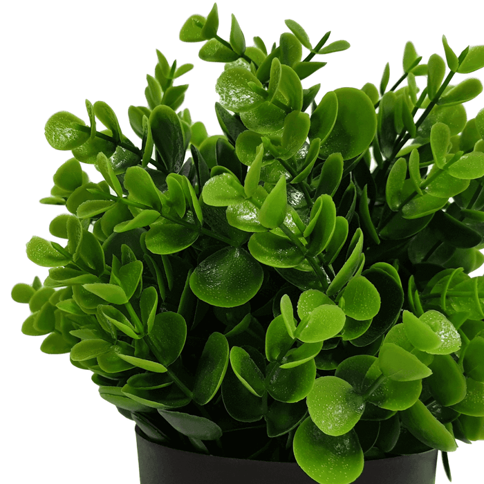 Small Potted Artificial Peperomia Plant UV Resistant 20cm